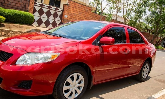 Buy Used Toyota Corolla Red Car in Kigali in Rwanda Buy Used Toyota Corolla Red Car in Kigali in Rwanda
