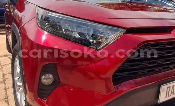 اشتري مستعمل Toyota RAV4 Rouge سيارة في Kigali في Rwanda اشتري مستعمل Toyota RAV4 Rouge سيارة في Kigali في Rwanda