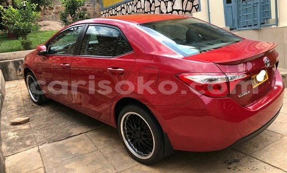 Buy Used Toyota Corolla Red Car in Kigali in Rwanda Buy Used Toyota Corolla Red Car in Kigali in Rwanda
