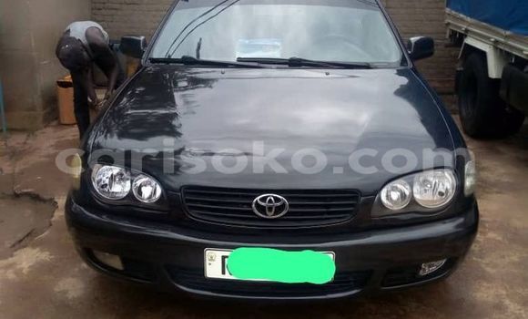 Buy Used Toyota Corolla Other Car in Kigali in Rwanda Buy Used Toyota Corolla Other Car in Kigali in Rwanda