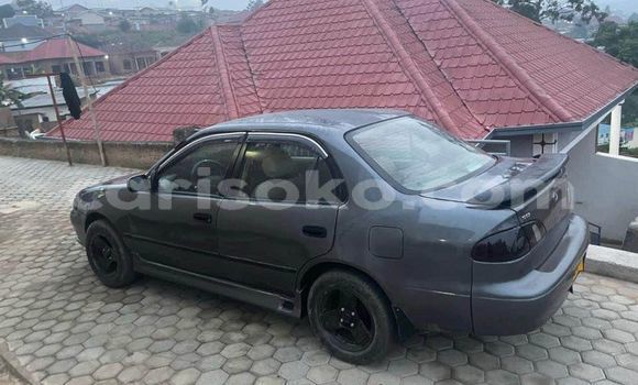 اشتري مستعمل Toyota Allex Autre سيارة في Cyangugu في Cyangugu اشتري مستعمل Toyota Allex Autre سيارة في Cyangugu في Cyangugu