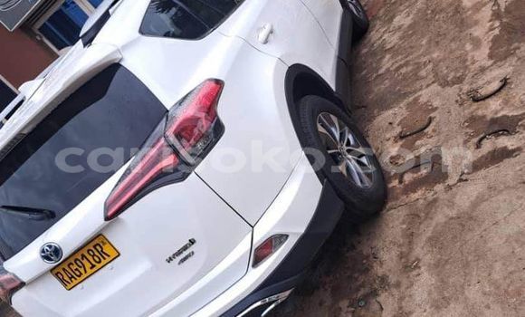 اشتري مستعمل Toyota RAV4 Blanc سيارة في Kigali في Rwanda اشتري مستعمل Toyota RAV4 Blanc سيارة في Kigali في Rwanda