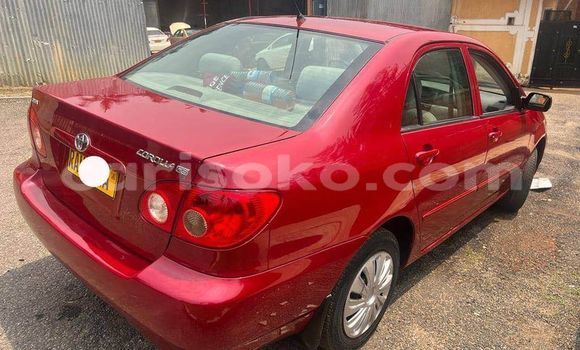اشتري مستعمل Toyota Corolla Rouge سيارة في Gasarenda في Rwanda اشتري مستعمل Toyota Corolla Rouge سيارة في Gasarenda في Rwanda
