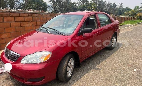 اشتري مستعمل Toyota Corolla Rouge سيارة في Gasarenda في Rwanda اشتري مستعمل Toyota Corolla Rouge سيارة في Gasarenda في Rwanda