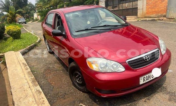 اشتري مستعمل Toyota Corolla Rouge سيارة في Gasarenda في Rwanda اشتري مستعمل Toyota Corolla Rouge سيارة في Gasarenda في Rwanda