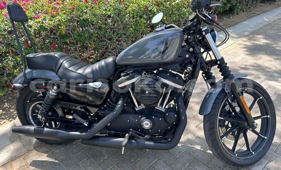 Buy Used Harley Davidson IRON Silver Bike in Kigali in Rwanda Buy Used Harley Davidson IRON Silver Bike in Kigali in Rwanda