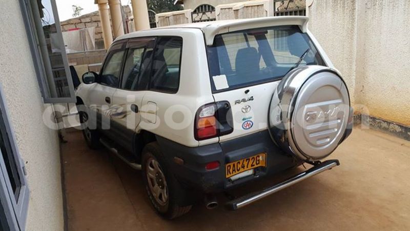 Big with watermark 14322753 152041765249206 4084601271133145777 n