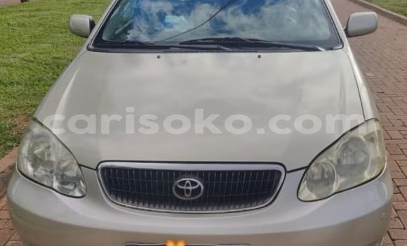 اشتري مستعمل Toyota Corolla Autre سيارة في Cyangugu في Cyangugu اشتري مستعمل Toyota Corolla Autre سيارة في Cyangugu في Cyangugu