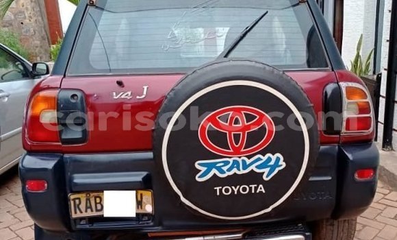 اشتري مستعمل Toyota RAV4 Rouge سيارة في Cyangugu في Cyangugu اشتري مستعمل Toyota RAV4 Rouge سيارة في Cyangugu في Cyangugu