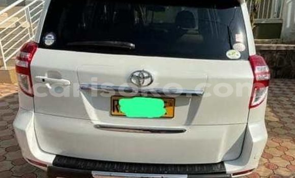 اشتري مستعمل Toyota RAV4 Blanc سيارة في Gicumbi في Rwanda اشتري مستعمل Toyota RAV4 Blanc سيارة في Gicumbi في Rwanda
