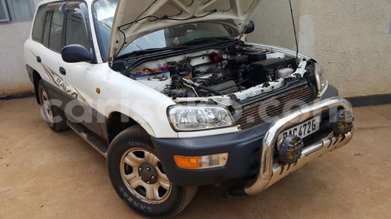 Big with watermark 14324596 10209113455147535 4826326470268354662 o