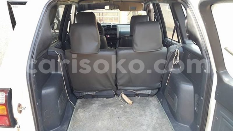 Big with watermark 14355616 1652943051684902 3641046762615807478 n