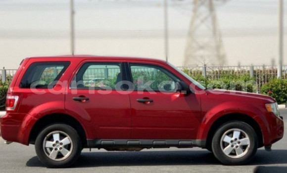 Sayi Imported Ford Escape Rouge Mota in Import - Dubai a Rwanda Sayi Imported Ford Escape Rouge Mota in Import - Dubai a Rwanda