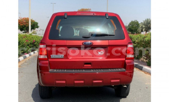 Sayi Imported Ford Escape Rouge Mota in Import - Dubai a Rwanda Sayi Imported Ford Escape Rouge Mota in Import - Dubai a Rwanda