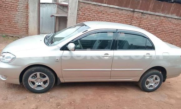 Buy Used Toyota Corolla Other Car in Kigali in Rwanda Buy Used Toyota Corolla Other Car in Kigali in Rwanda