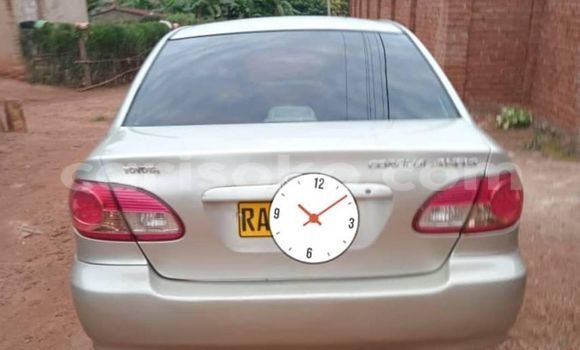 Buy Used Toyota Corolla Other Car in Kigali in Rwanda Buy Used Toyota Corolla Other Car in Kigali in Rwanda