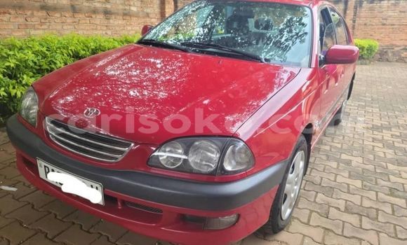 Buy Used Toyota Avensis Red Car in Cyangugu in Cyangugu Buy Used Toyota Avensis Red Car in Cyangugu in Cyangugu