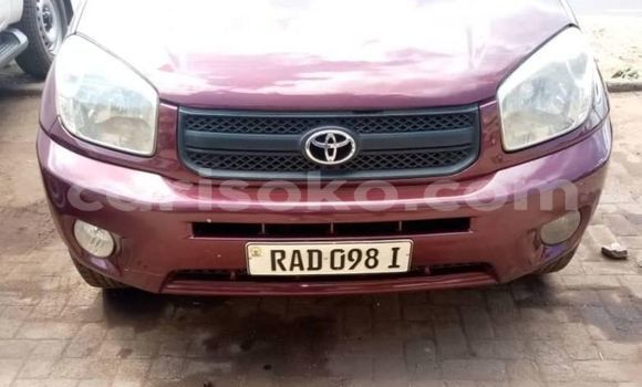 Buy Used Toyota RAV4 Red Car in Gasarenda in Rwanda Buy Used Toyota RAV4 Red Car in Gasarenda in Rwanda