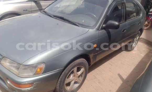 Buy Used Toyota Corolla Other Car in Cyangugu in Cyangugu Buy Used Toyota Corolla Other Car in Cyangugu in Cyangugu