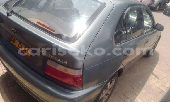 Buy Used Toyota Corolla Other Car in Cyangugu in Cyangugu Buy Used Toyota Corolla Other Car in Cyangugu in Cyangugu