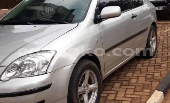 Buy Used Toyota Corolla Other Car in Kigali in Rwanda Buy Used Toyota Corolla Other Car in Kigali in Rwanda
