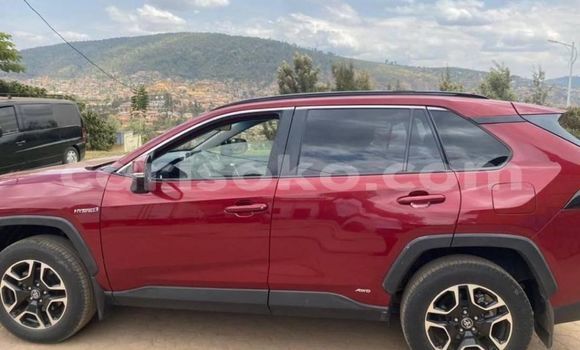 Buy Used Toyota RAV4 Red Car in Kigali in Rwanda Buy Used Toyota RAV4 Red Car in Kigali in Rwanda