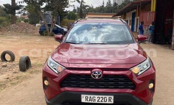Buy Used Toyota RAV4 Red Car in Kigali in Rwanda Buy Used Toyota RAV4 Red Car in Kigali in Rwanda