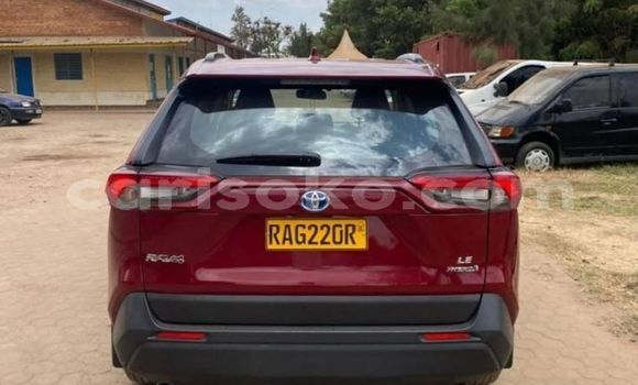 Buy Used Toyota RAV4 Red Car in Kigali in Rwanda Buy Used Toyota RAV4 Red Car in Kigali in Rwanda