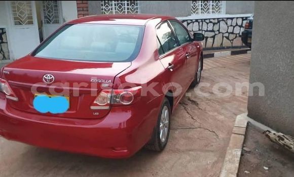 Buy Used Toyota Corolla Red Car in Kigali in Rwanda Buy Used Toyota Corolla Red Car in Kigali in Rwanda