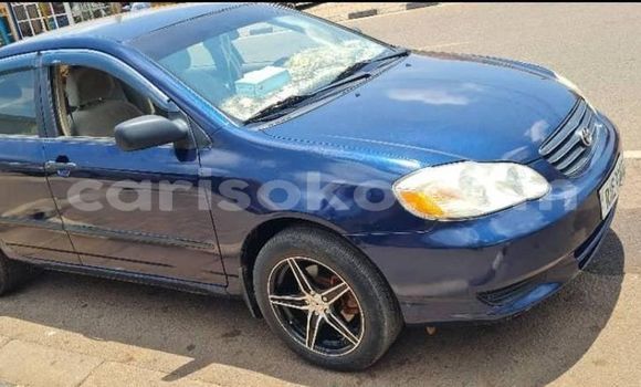 Buy Used Toyota Corolla Blue Car in Kigali in Rwanda Buy Used Toyota Corolla Blue Car in Kigali in Rwanda
