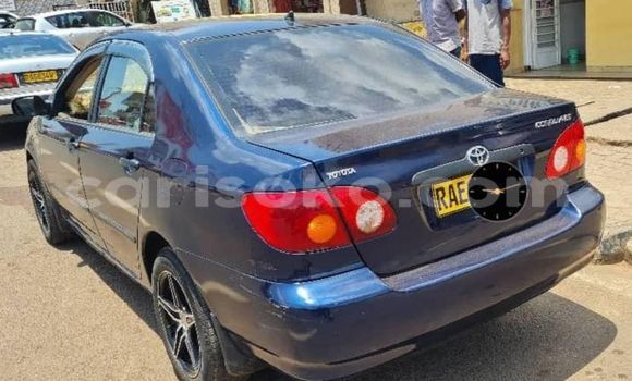 Buy Used Toyota Corolla Blue Car in Kigali in Rwanda Buy Used Toyota Corolla Blue Car in Kigali in Rwanda