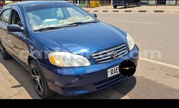Buy Used Toyota Corolla Blue Car in Kigali in Rwanda Buy Used Toyota Corolla Blue Car in Kigali in Rwanda
