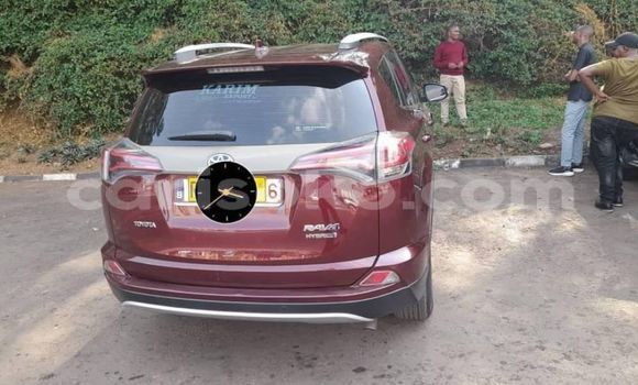 Buy Used Hyundai Cargo Other Car in Gicumbi in Rwanda Buy Used Hyundai Cargo Other Car in Gicumbi in Rwanda