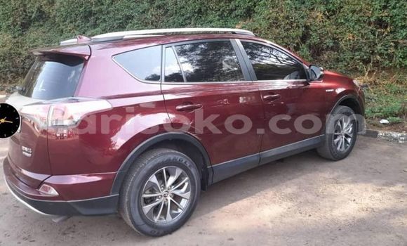 Buy Used Hyundai Cargo Other Car in Gicumbi in Rwanda Buy Used Hyundai Cargo Other Car in Gicumbi in Rwanda