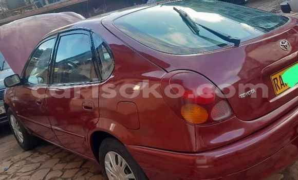 Acheter Occasion Voiture Toyota Corolla Rouge à Byumba, Byumba Acheter Occasion Voiture Toyota Corolla Rouge à Byumba, Byumba
