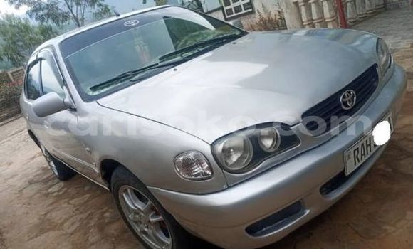 Buy Used Toyota Corolla Other Car in Kigali in Rwanda Buy Used Toyota Corolla Other Car in Kigali in Rwanda