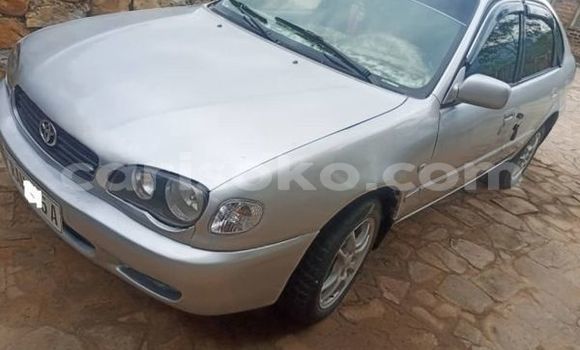 Buy Used Toyota Corolla Other Car in Kigali in Rwanda Buy Used Toyota Corolla Other Car in Kigali in Rwanda