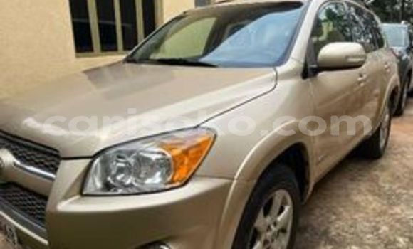 Buy Used Toyota RAV4 Beige Car in Kigali in Rwanda Buy Used Toyota RAV4 Beige Car in Kigali in Rwanda