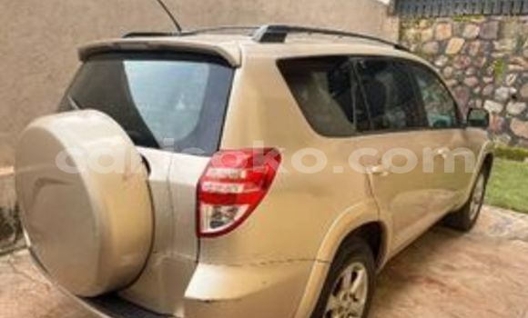 Buy Used Toyota RAV4 Beige Car in Kigali in Rwanda Buy Used Toyota RAV4 Beige Car in Kigali in Rwanda