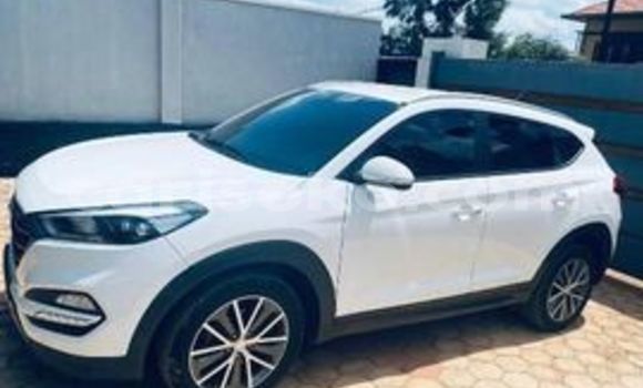 Buy Used Hyundai Tucson White Car in Kigali in Rwanda Buy Used Hyundai Tucson White Car in Kigali in Rwanda