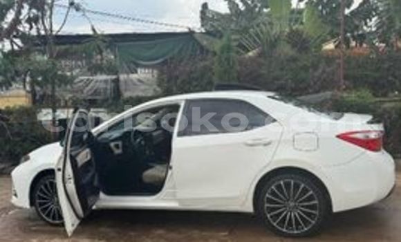 Buy Used Toyota Corolla White Car in Kigali in Rwanda Buy Used Toyota Corolla White Car in Kigali in Rwanda
