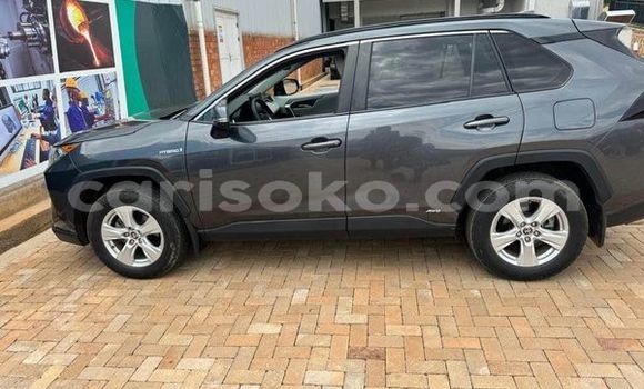 اشتري مستعمل Toyota RAV4 Gris سيارة في Kigali في Rwanda اشتري مستعمل Toyota RAV4 Gris سيارة في Kigali في Rwanda