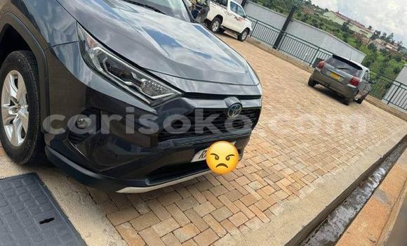 اشتري مستعمل Toyota RAV4 Gris سيارة في Kigali في Rwanda اشتري مستعمل Toyota RAV4 Gris سيارة في Kigali في Rwanda