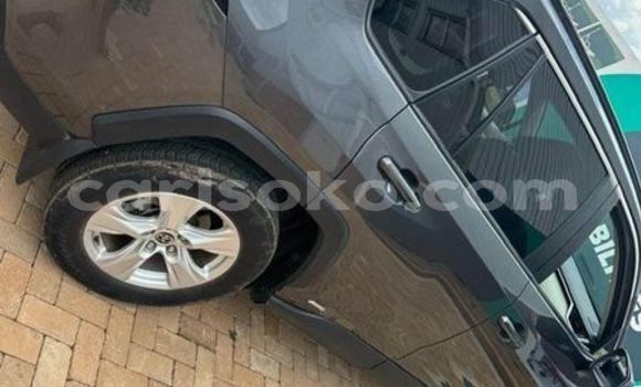 اشتري مستعمل Toyota RAV4 Gris سيارة في Kigali في Rwanda اشتري مستعمل Toyota RAV4 Gris سيارة في Kigali في Rwanda