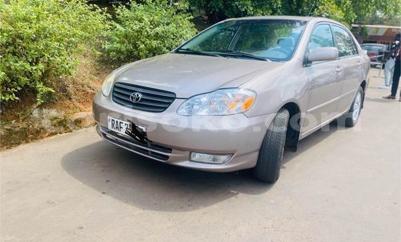 اشتري مستعمل Toyota Corolla Beige سيارة في Kigali في Rwanda اشتري مستعمل Toyota Corolla Beige سيارة في Kigali في Rwanda