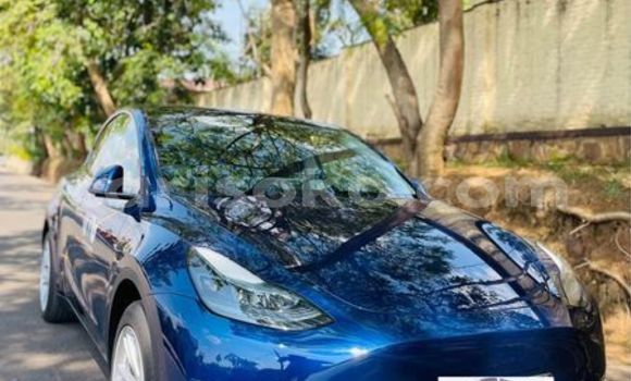 Buy Used Tesla Model X Blue Car in Kigali in Rwanda Buy Used Tesla Model X Blue Car in Kigali in Rwanda