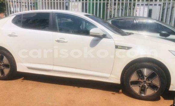 Buy Used Kia K5 White Car in Kigali in Rwanda Buy Used Kia K5 White Car in Kigali in Rwanda