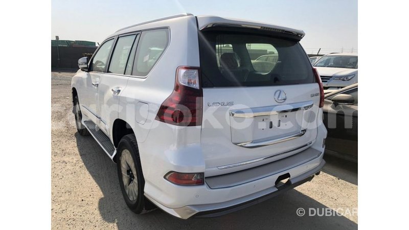 Big with watermark 01701991 c95c 474d b1e5 6c1cc589426f