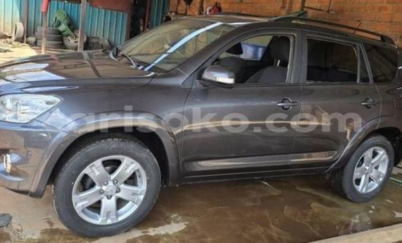 Buy Used Toyota RAV4 Silver Car in Kigali in Rwanda Buy Used Toyota RAV4 Silver Car in Kigali in Rwanda