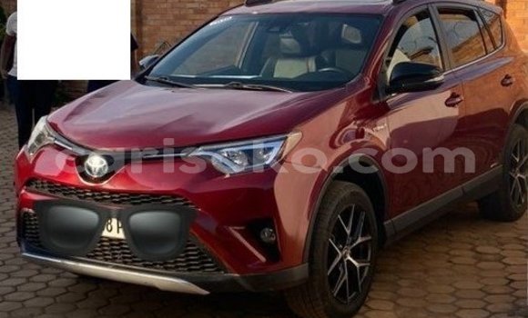 Acheter Occasion Voiture Toyota RAV4 Rouge à Kigali, Rwanda Acheter Occasion Voiture Toyota RAV4 Rouge à Kigali, Rwanda